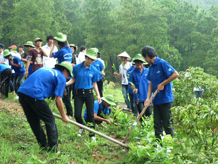 Ảnh minh họa.